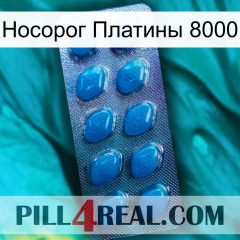 Носорог Платины 8000 viagra1